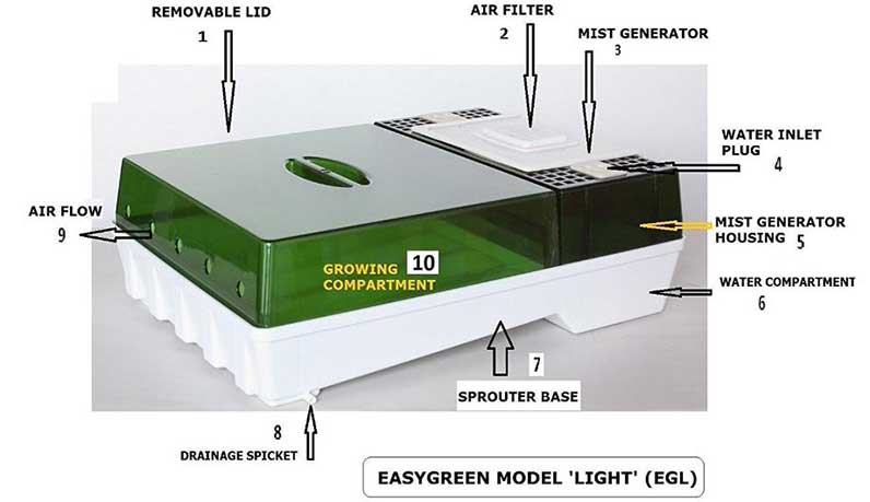 Easygreen Sprouter Lite