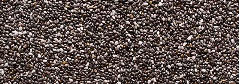 chia seeds for sprouting